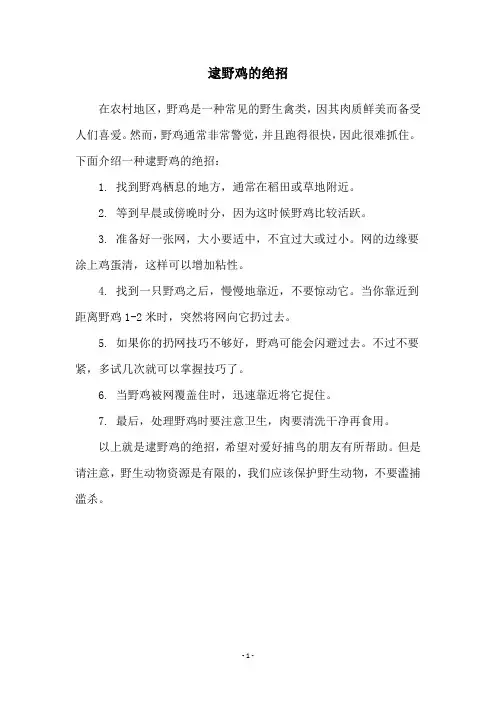 逮野鸡的绝招