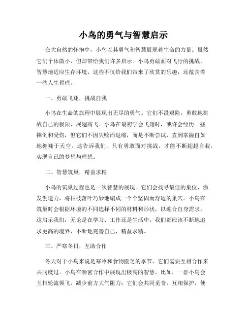 小鸟的勇气与智慧启示