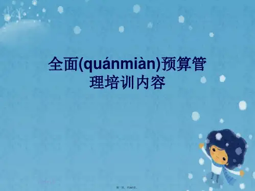 全面预算管理培训内容