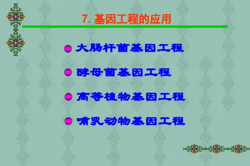 基因工程 酵母菌基因工程(2)
