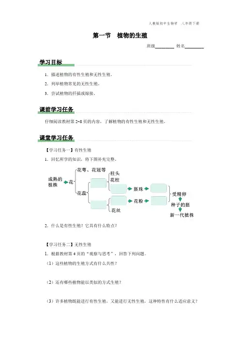 八年级-人教版-生物-下册-[学习任务单]第一节 植物的生殖