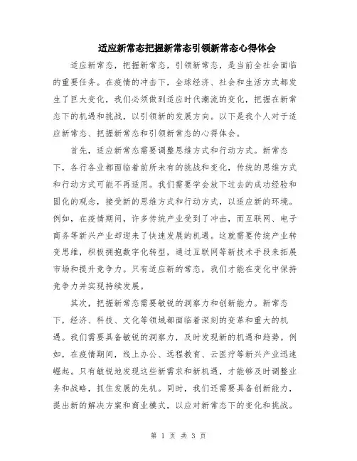 适应新常态把握新常态引领新常态心得体会
