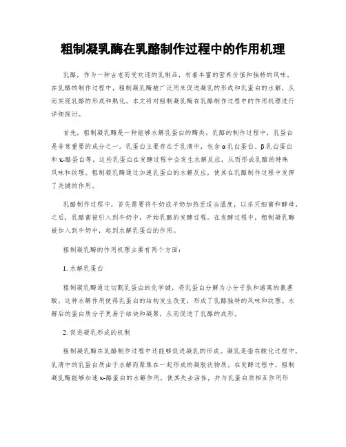 粗制凝乳酶在乳酪制作过程中的作用机理