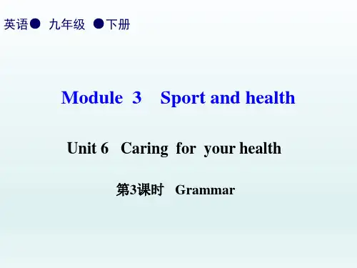 英语九下-Unit6教案(语法)