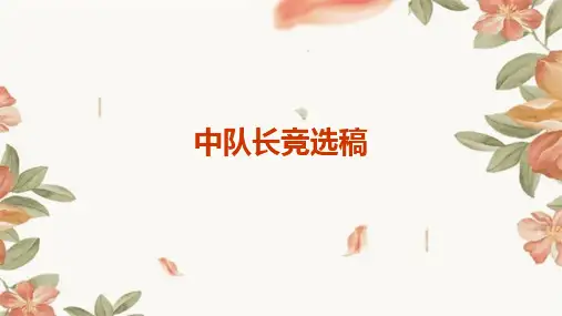 中队长竞选稿PPT