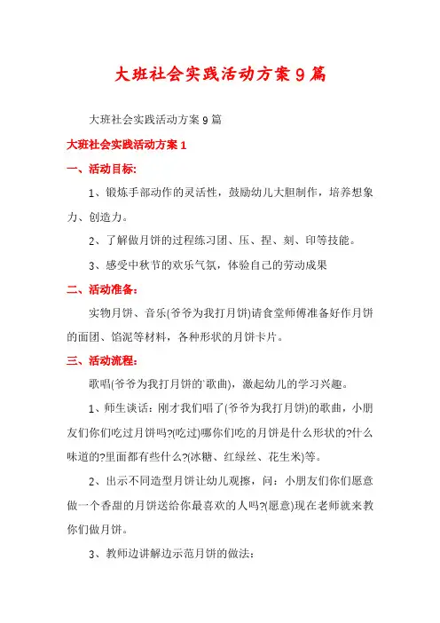 大班社会实践活动方案9篇