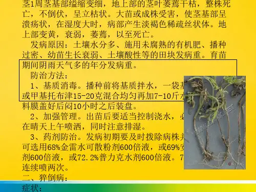 番茄病虫害综合防治技术完整ppt