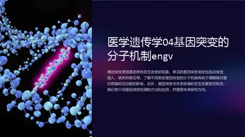 医学遗传学04基因突变的分子机制engv