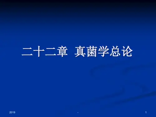 临床真菌学ppt课件