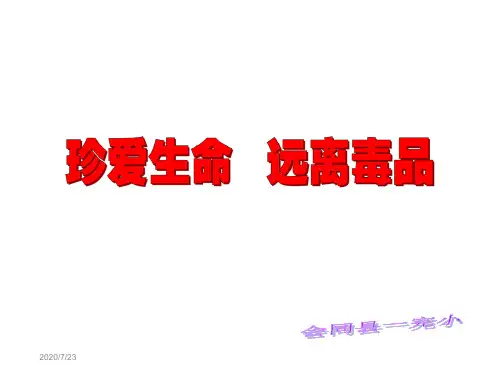 珍爱生命远离毒品ppt