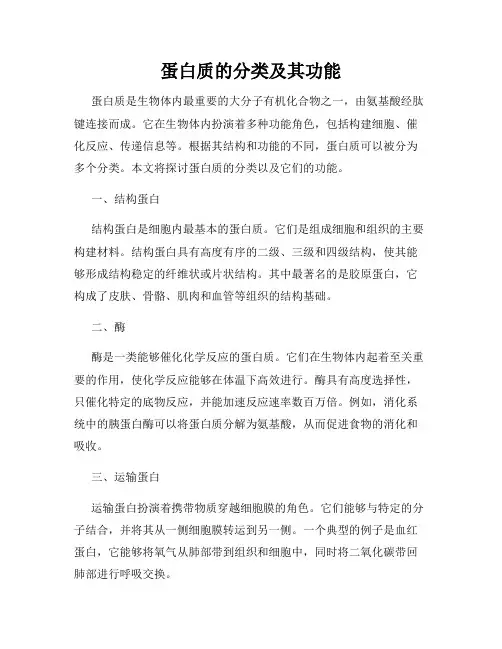 蛋白质的分类及其功能