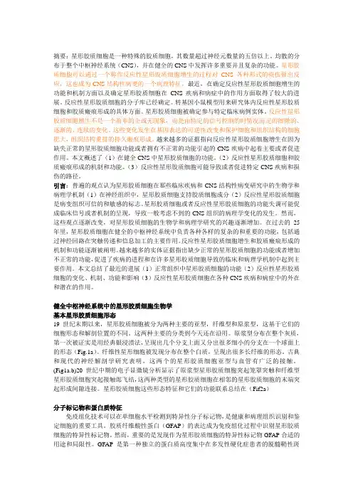 星形胶质细胞：生理及病理