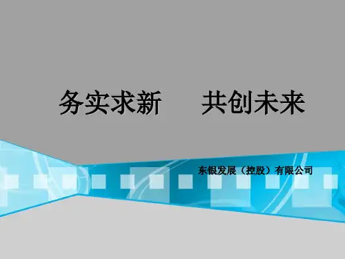 东银发展宣传手册资料