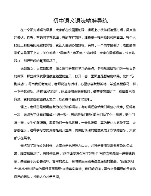 初中语文语法精准导练