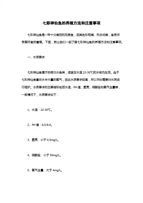 七彩神仙鱼的养殖方法和注意事项