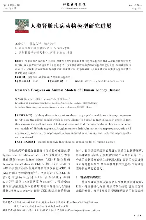 人类肾脏疾病动物模型研究进展