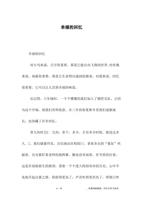 幸福的回忆_初三作文
