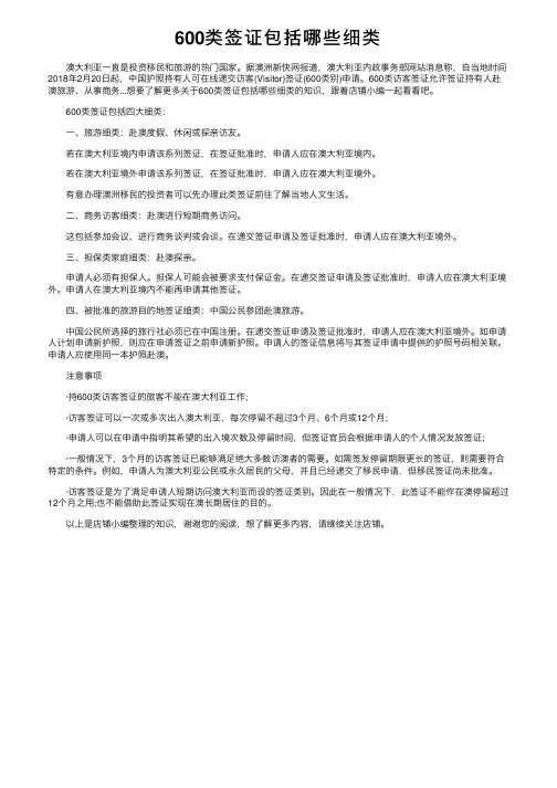 600类签证包括哪些细类