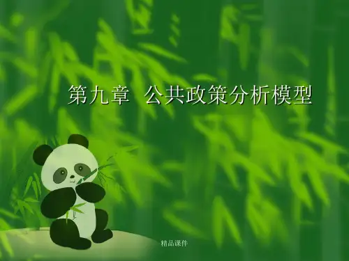 公共政策分析模型