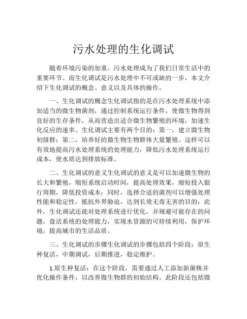 污水处理的生化调试