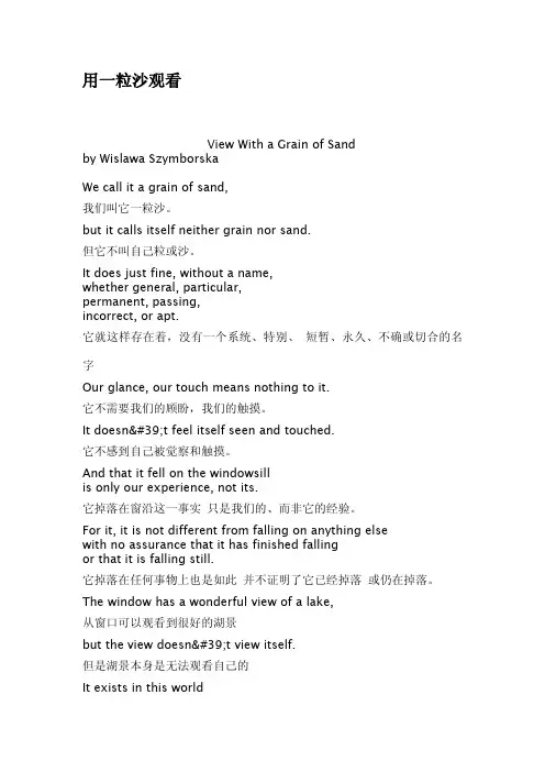 用一粒沙观看