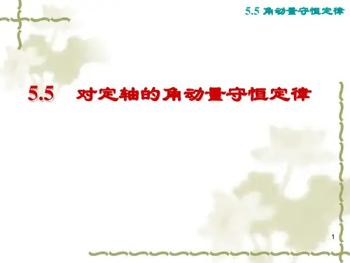 5.5 定轴转动刚体的角动量守恒