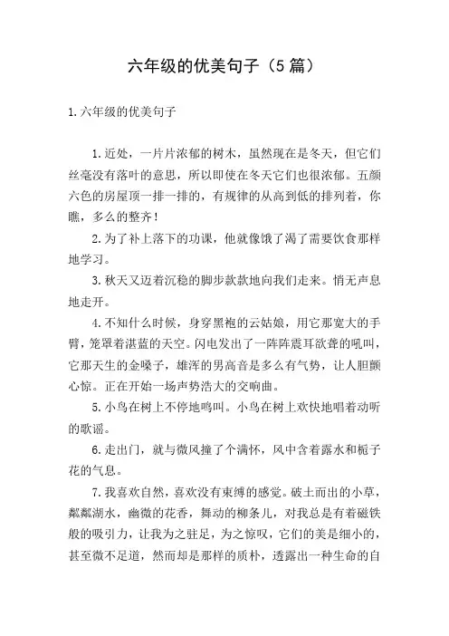 六年级的优美句子(5篇)