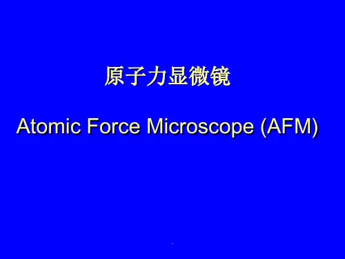 AFM-原子力显微镜