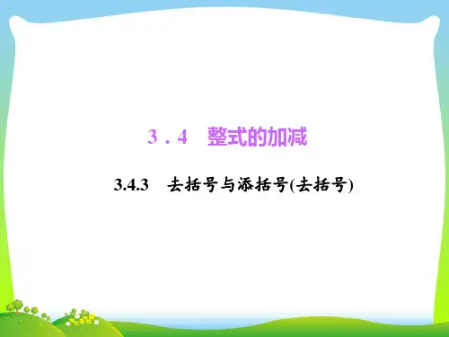 去括号与添括号-课件