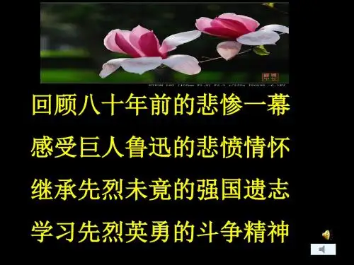 《记念刘和珍君》