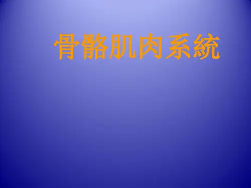 肌肉骨骼系统(149页PPT课件)