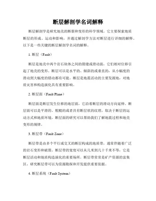 断层解剖学名词解释