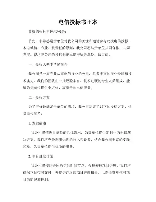 电信投标书正本