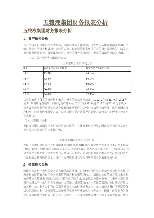 五粮液集团财务报表分析