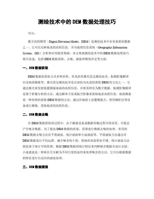 测绘技术中的DEM数据处理技巧