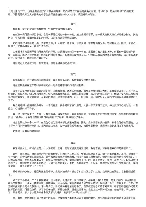 小学生描写盆景植物的作文300字【三篇】