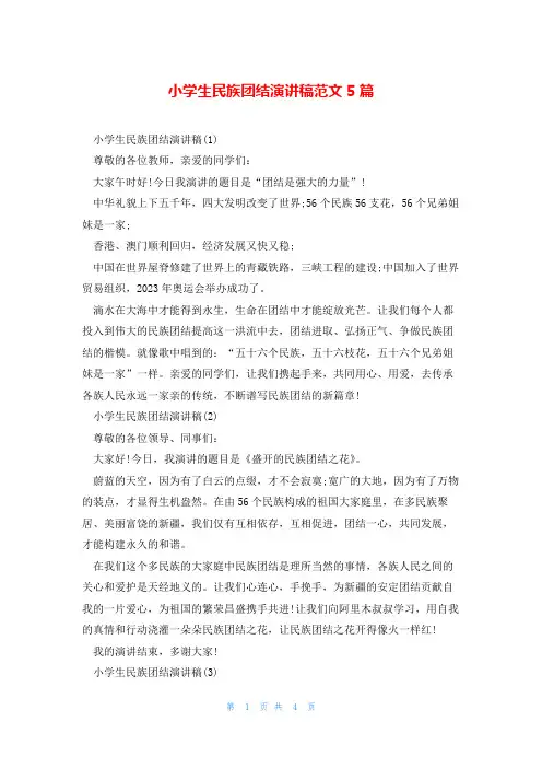 小学生民族团结演讲稿范文5篇