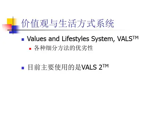 基于价值观与生活方式的市场细分