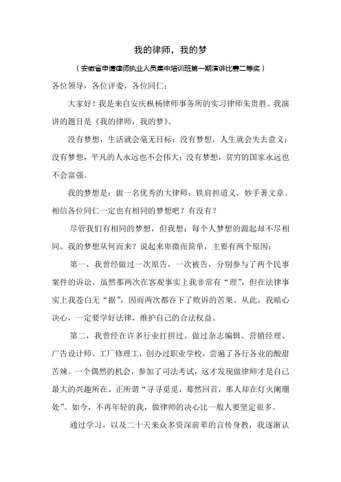 我的律师,我的梦
