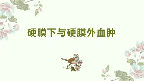 硬膜下及硬膜外血肿影像学表现
