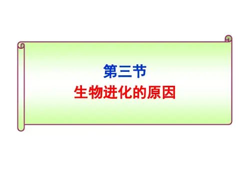 7.生物进化的原因课件(人教版生物)