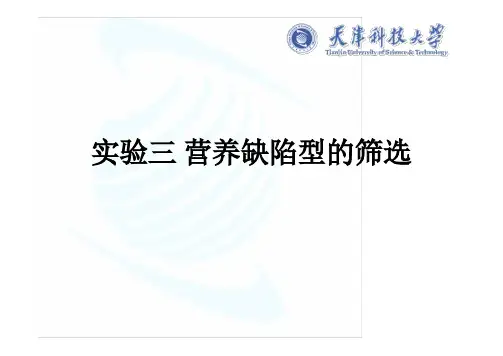 实验三营养缺陷型的筛选