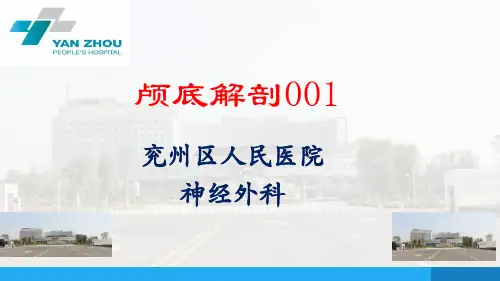 颅底解剖PPT课件