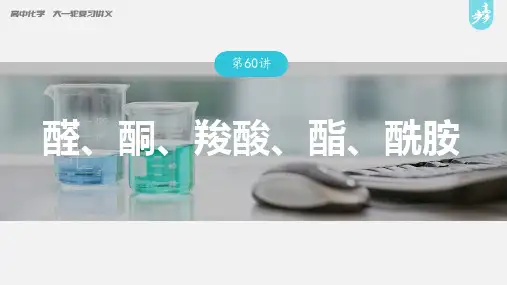  醛、酮、羧酸、酯、酰胺---2023年高考化学一轮复习(新高考)