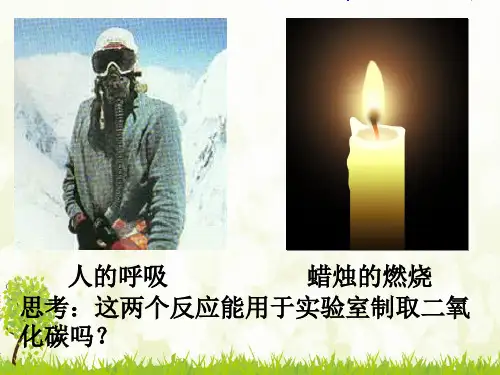 二氧化碳的制取 全国一等奖-课件