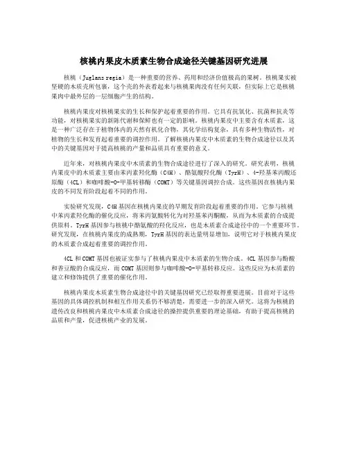 核桃内果皮木质素生物合成途径关键基因研究进展