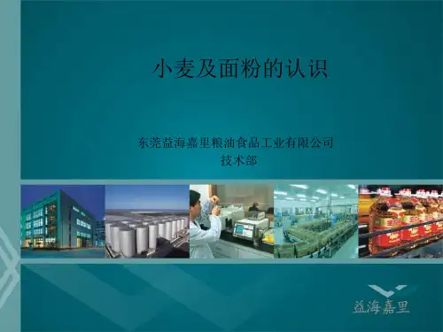 面粉基础知识介绍PPT--蛋糕