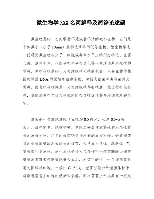 微生物学XXX名词解释及简答论述题
