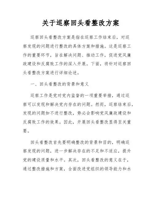 关于巡察回头看整改方案