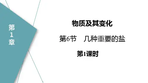 浙教版九年级上册科学《几种重要的盐》PPT教学课件